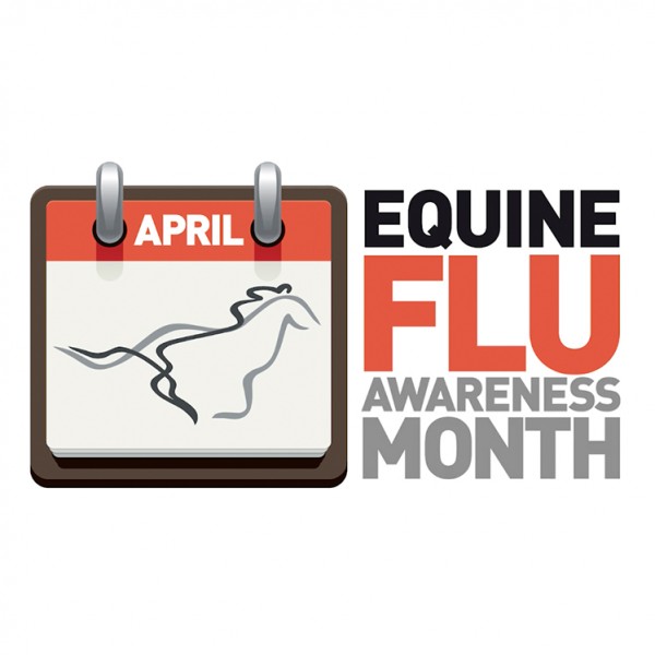 Equine Influenza